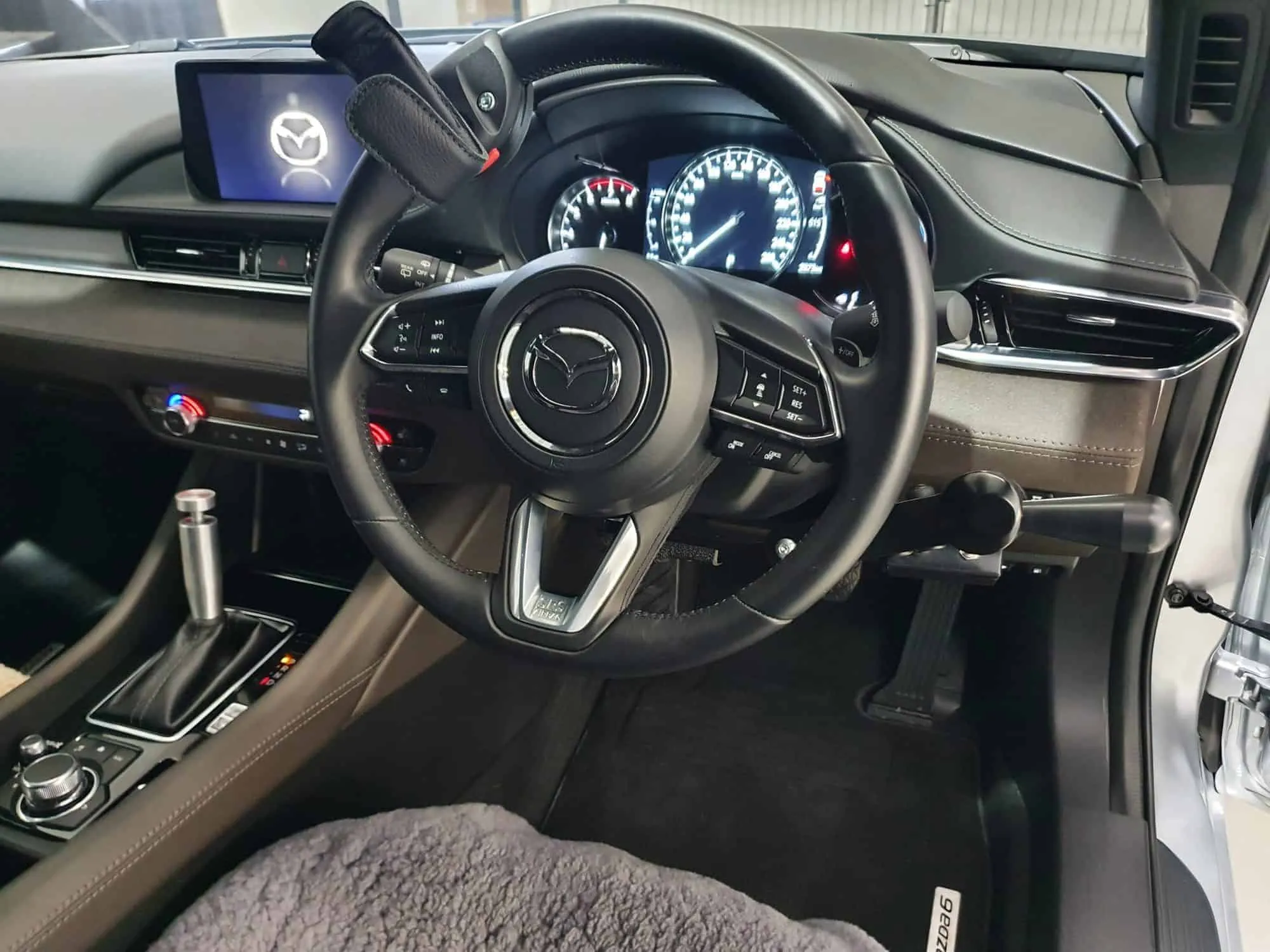 Driving Controls