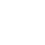 Mobility Solutions